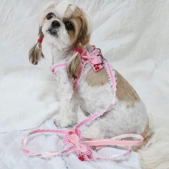 Lulu doll 犬服 3着セット Sサイズ トイプードル・マルチーズなど ふわっとチェリーギンガムハーネス SS DH336 Luludoll（ルルドール