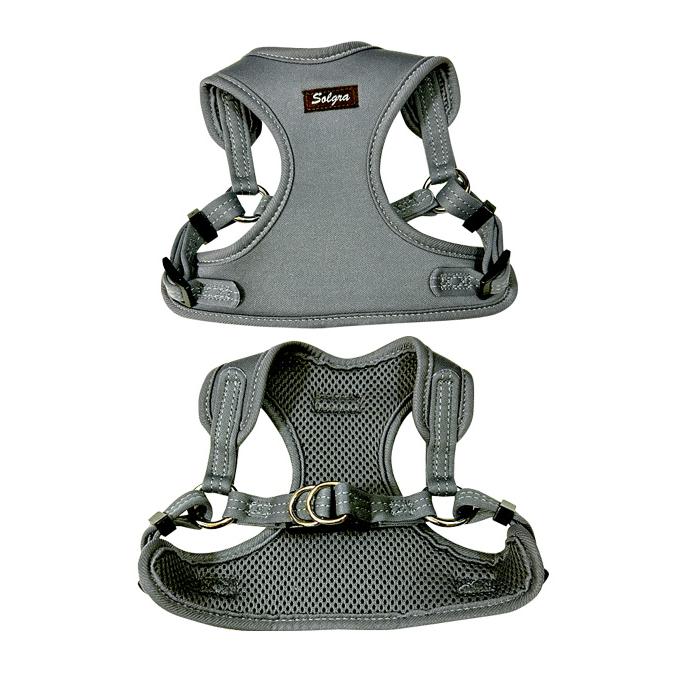 犬服  ラグラン(Ｓ)   ꒡̈⃝Lily꒡̈⃝ハンドメイド  値下げしました pw2489_m01.jpg