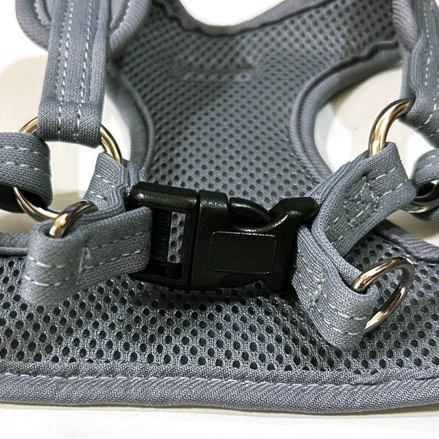 犬服  ラグラン(Ｓ)   ꒡̈⃝Lily꒡̈⃝ハンドメイド  値下げしました pw2489_m01.jpg