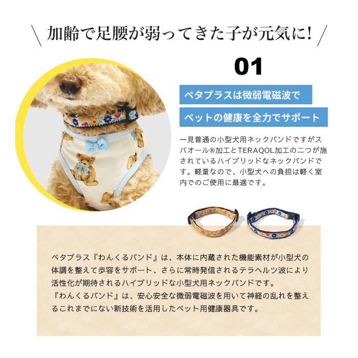 ペタプラス わんくるバンド 小型犬用 ネックバンド オレンジ ネイビー