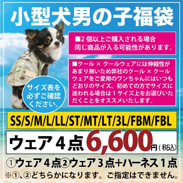 ❤犬服　クークチュール　お纏め4点 在庫限り】2024クークチュール夏福袋 SS〜3L ウェア4点入り クール福袋