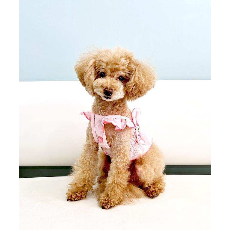 ピーチ柄シャーリングフリルキャミ ドッグウェア 犬服 小型犬 ペット