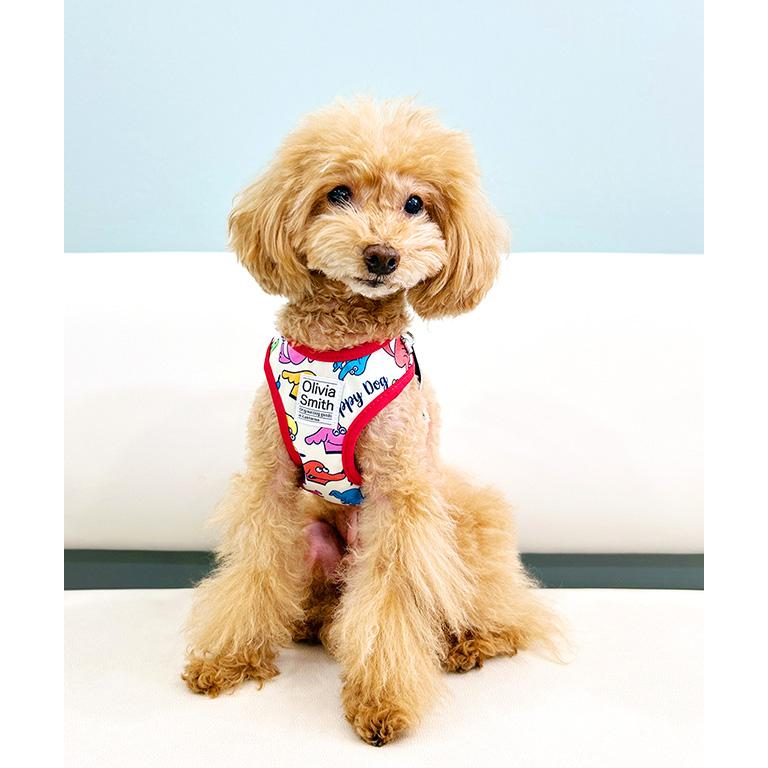 Olivia Smith オリビアスミス ベストハーネス 1号 お散歩 小型犬 犬服