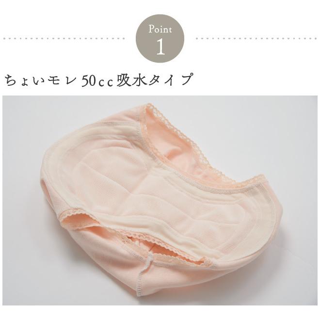 尿漏れ 尿モレ ショーツ レディース 女性用 軽失禁 S M L LL 失禁パンツ腰レース50ｃｃ |  | 04