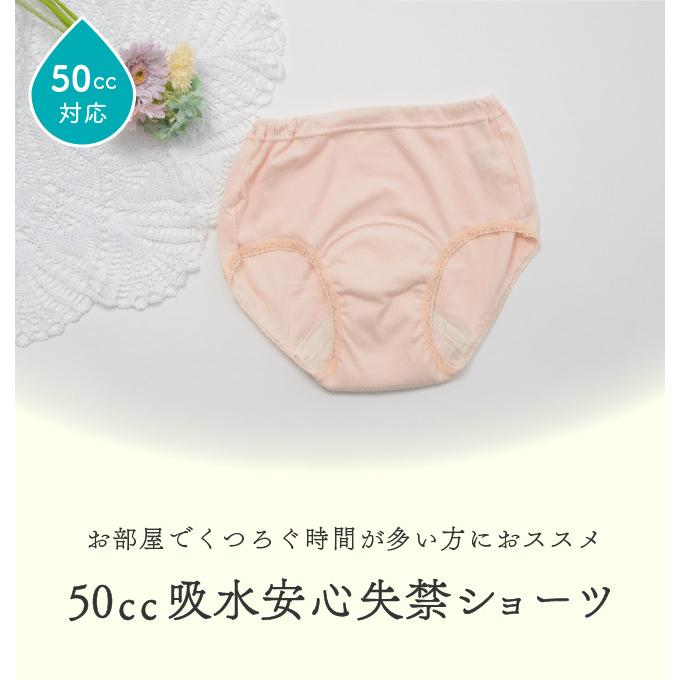 尿漏れ 尿モレ ショーツ レディース 女性用 軽失禁 S M L LL 失禁パンツ腰ゴム50ｃｃ |  | 01