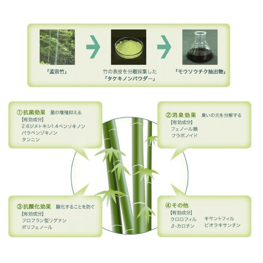 タケックス・クリーンBiz ボトル　１L×１２本セット 【お取り寄せ商品となります】_3