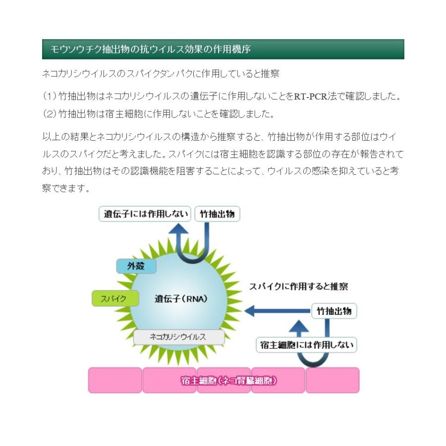タケックス・クリーンBiz ボトル　１L×１２本セット 【お取り寄せ商品となります】_4