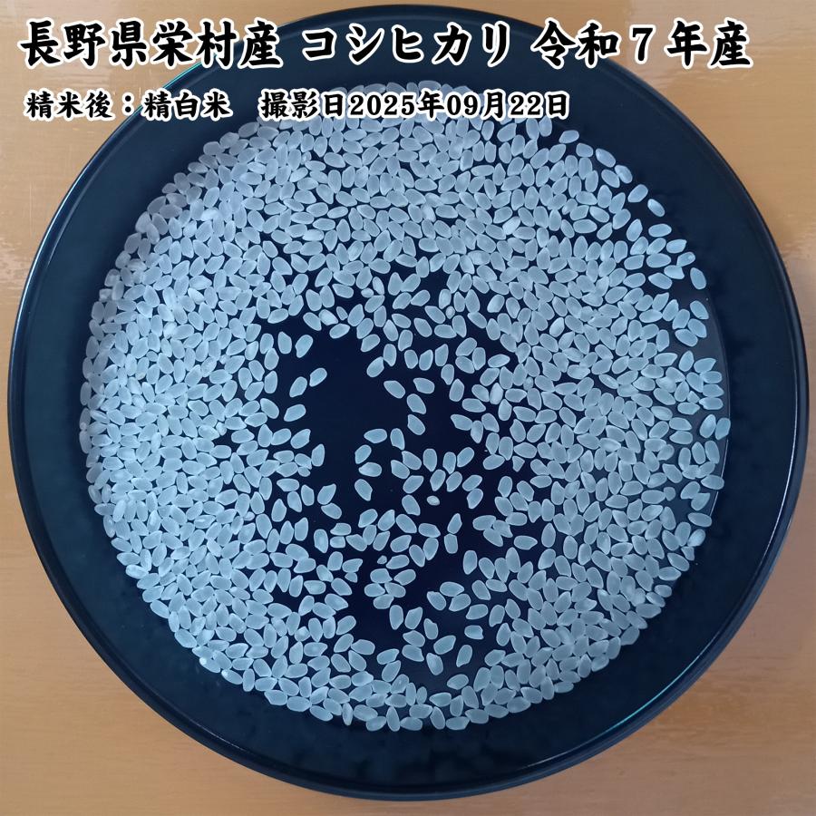 コシヒカリ 長野県栄村 白米10kg 令和7年産 [生産者：中村敏幸さん