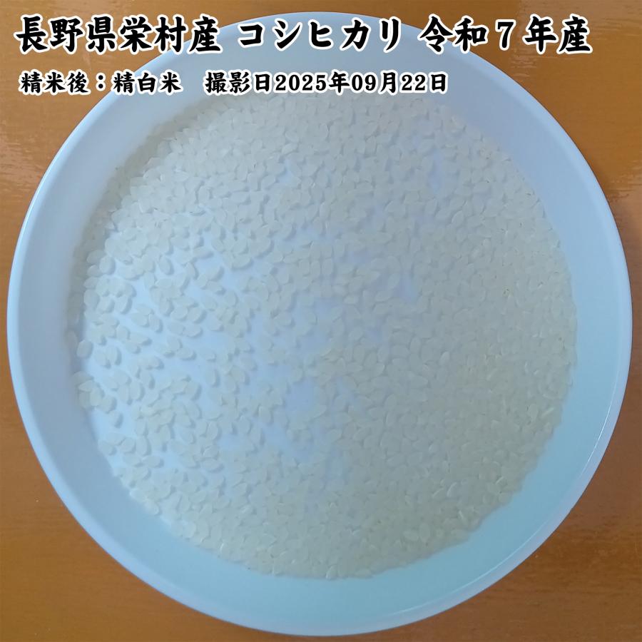 コシヒカリ 長野県栄村 白米10kg 令和7年産 [生産者：中村敏幸さん