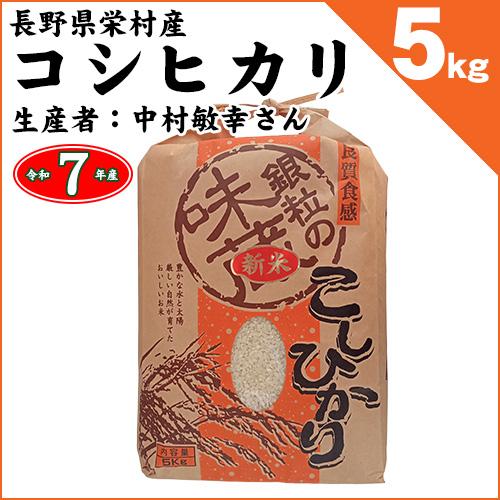 コシヒカリ 長野県栄村 白米5kg 令和7年産 [生産者：中村敏幸さん