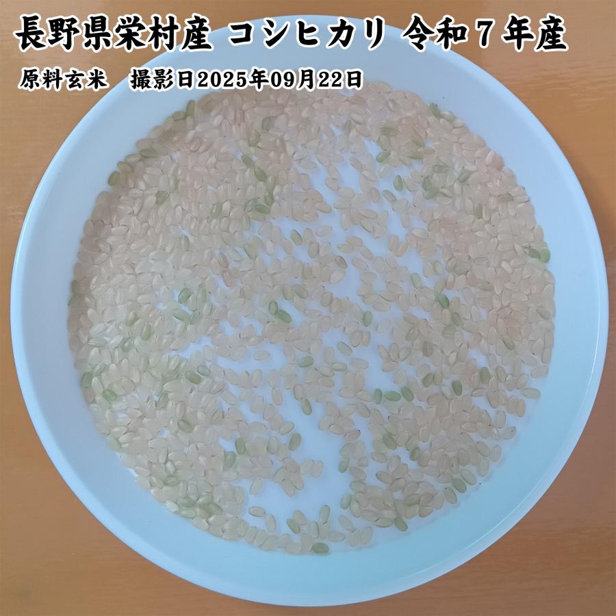 コシヒカリ 長野県栄村 白米5kg 令和7年産 [生産者：中村敏幸さん