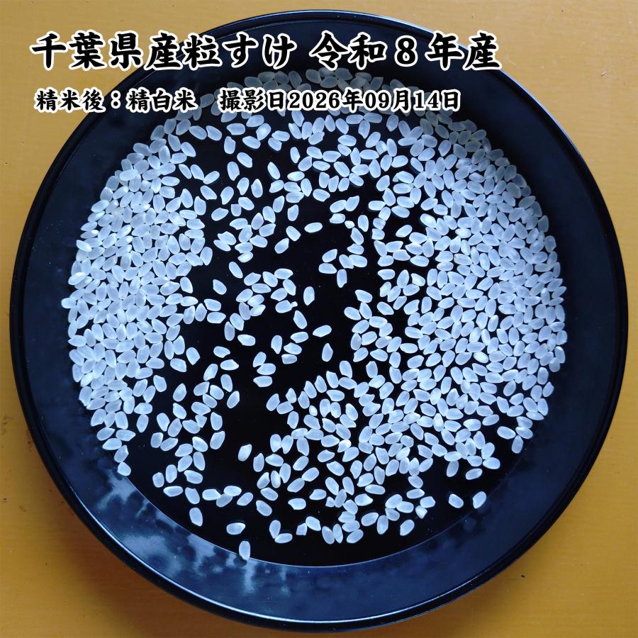 千葉県産 粒すけ 白米10kg （5kg×2袋） 令和8年産 新米 ※無洗米選択