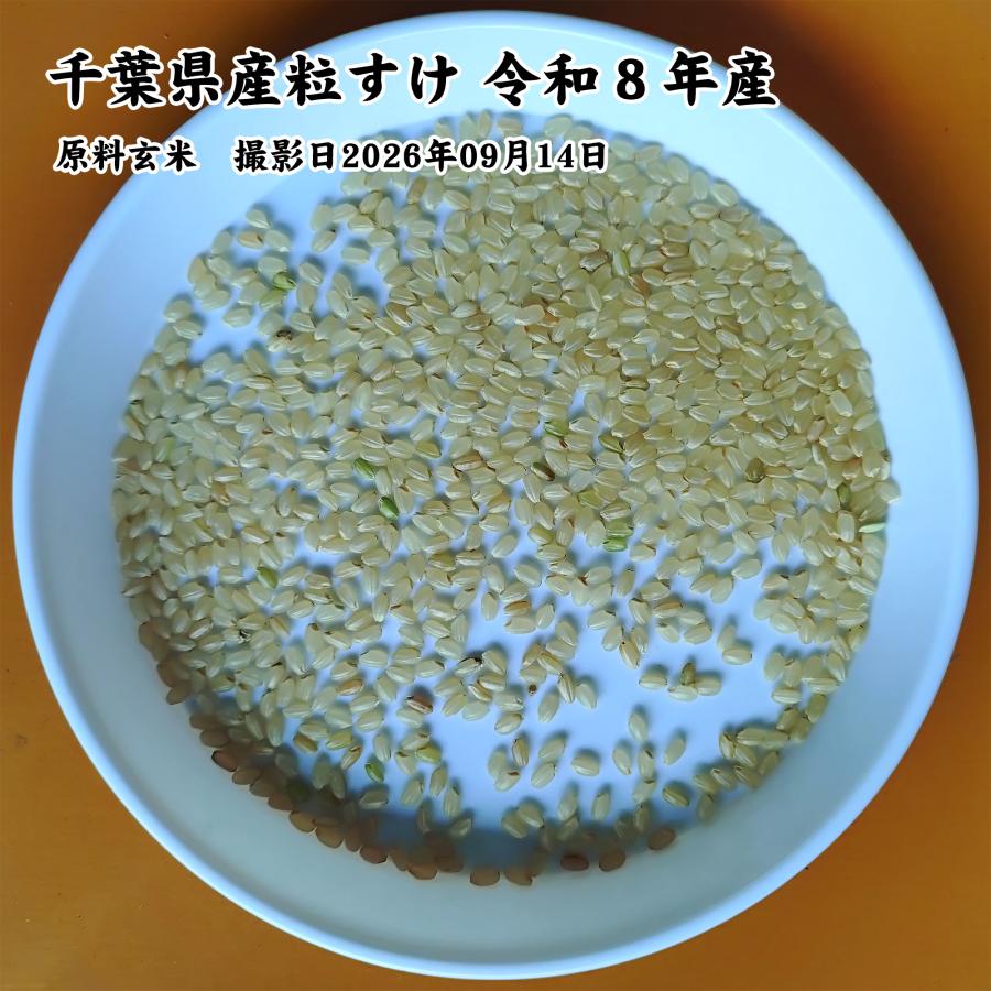 千葉県産 粒すけ 白米10kg （5kg×2袋） 令和8年産 新米 ※無洗米選択