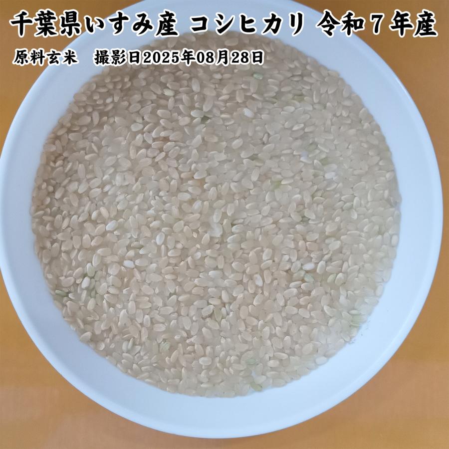 コシヒカリ 千葉県いすみ市産 いすみ米 白米5kg 令和7年産 : お酒とお