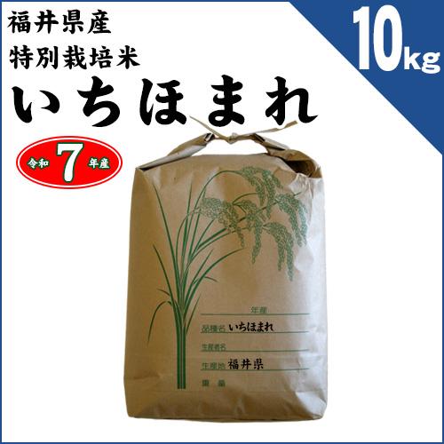 福井県 特別栽培米 いちほまれ 玄米10kg（精米方法お選びいただけます