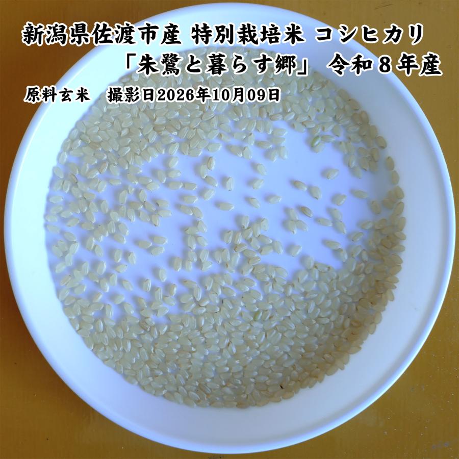 コシヒカリ 新潟県佐渡産 特別栽培米 「朱鷺と暮らす郷」 玄米5kg
