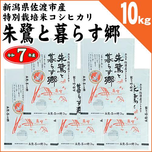 コシヒカリ [2kg×5袋] 新潟県佐渡産 特別栽培米 「朱鷺と暮らす郷
