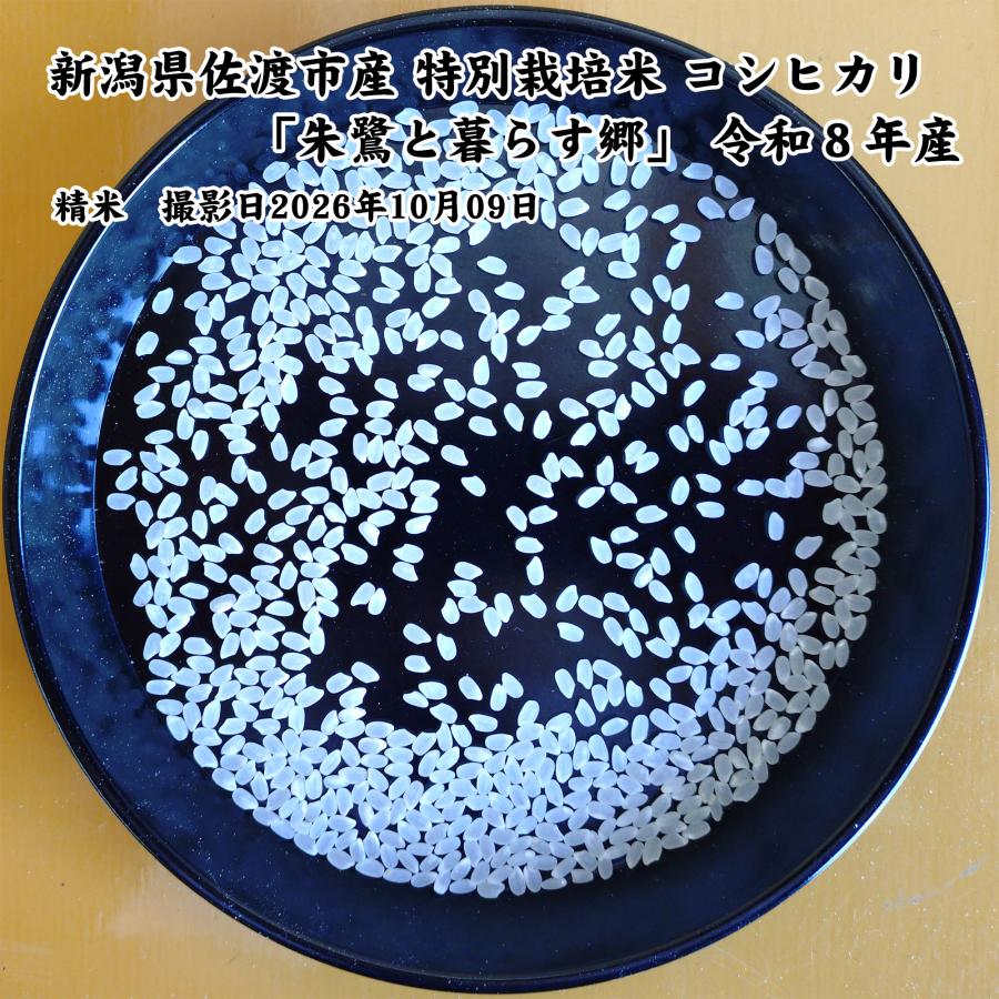コシヒカリ 新潟県佐渡産 特別栽培米 「朱鷺と暮らす郷」 白米5kg 令和