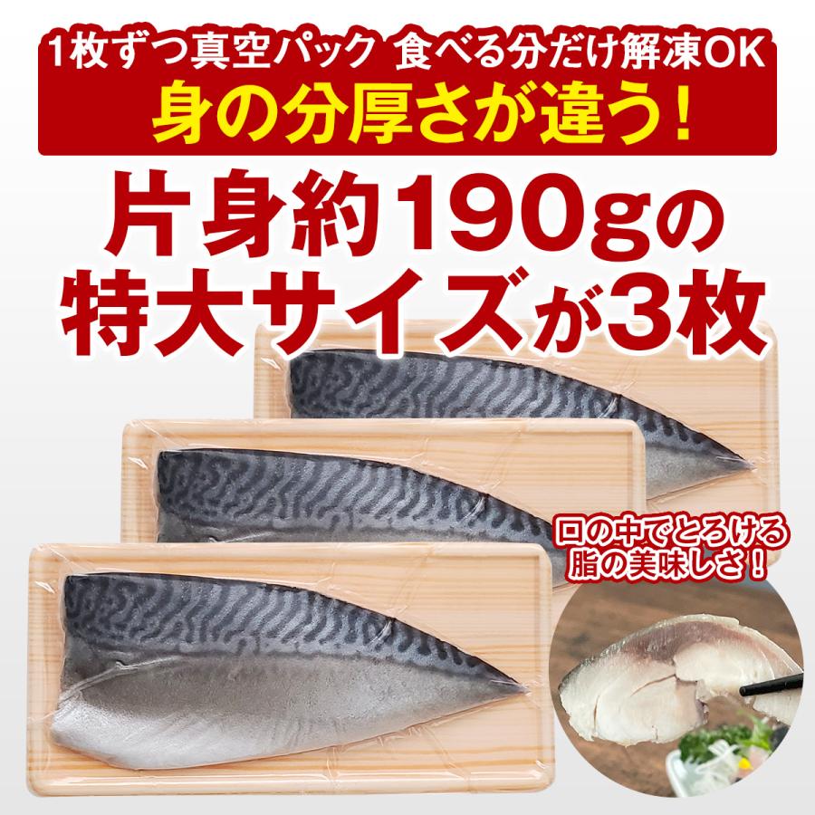 国産 しめ鯖 特大 片身約190g × 3枚 真さば きずし 鯖寿司 〆さば お