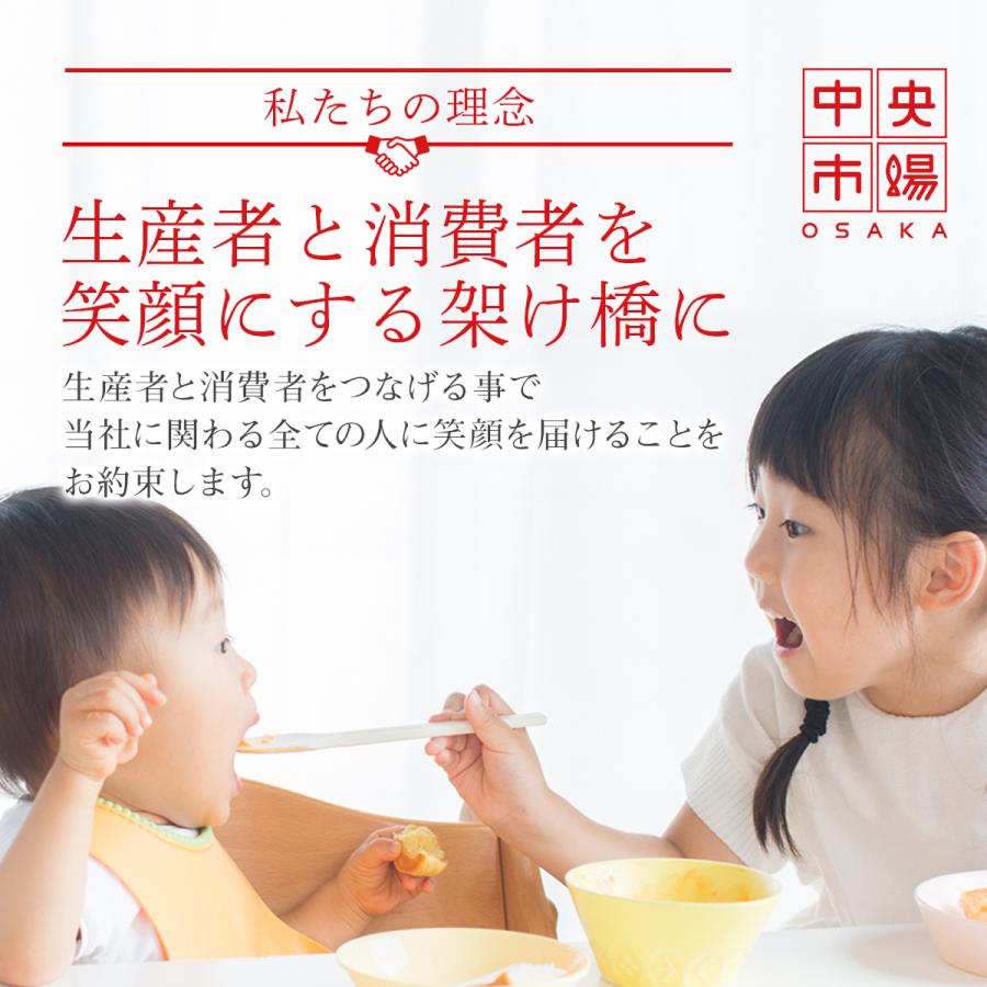 国産 しめ鯖 特大 片身約190g × 5枚 サバ 千葉県 銚子 真さば