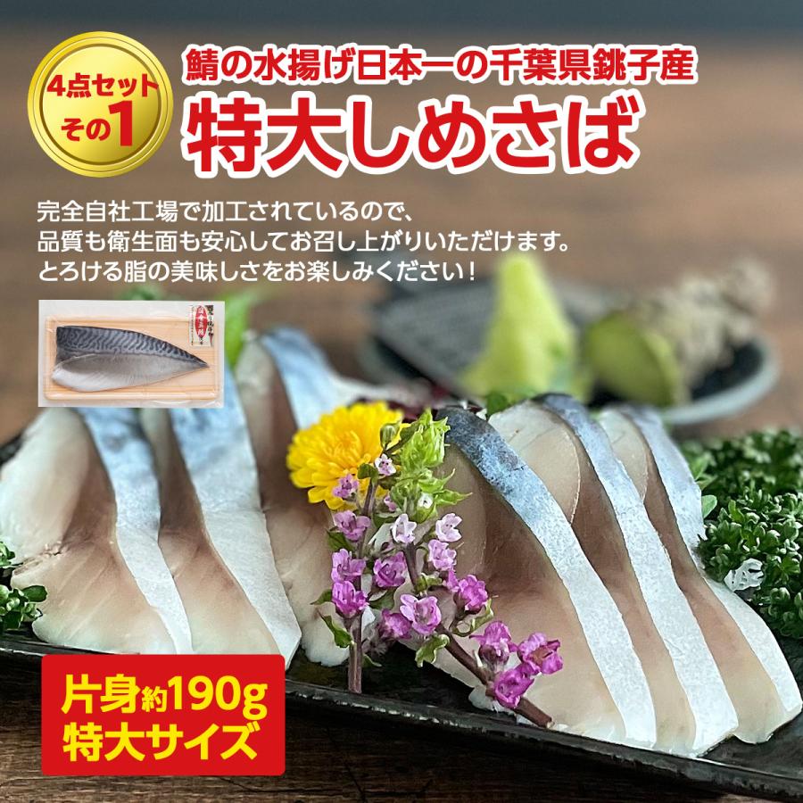 うなぎ しめ鯖 しらすの目利き4点セット  鰻 シメサバ 特大 釜揚げしらす 山椒しらす 佃煮 送料無料  プレゼント ギフト グルメ お取り寄せ 敬老の日 料理｜chuoichibaosaka｜03