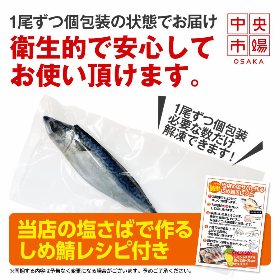 しめ鯖専用 塩サバ 国産 しめ鯖 冷凍 鯖 鯖寿司 キズシさばの
