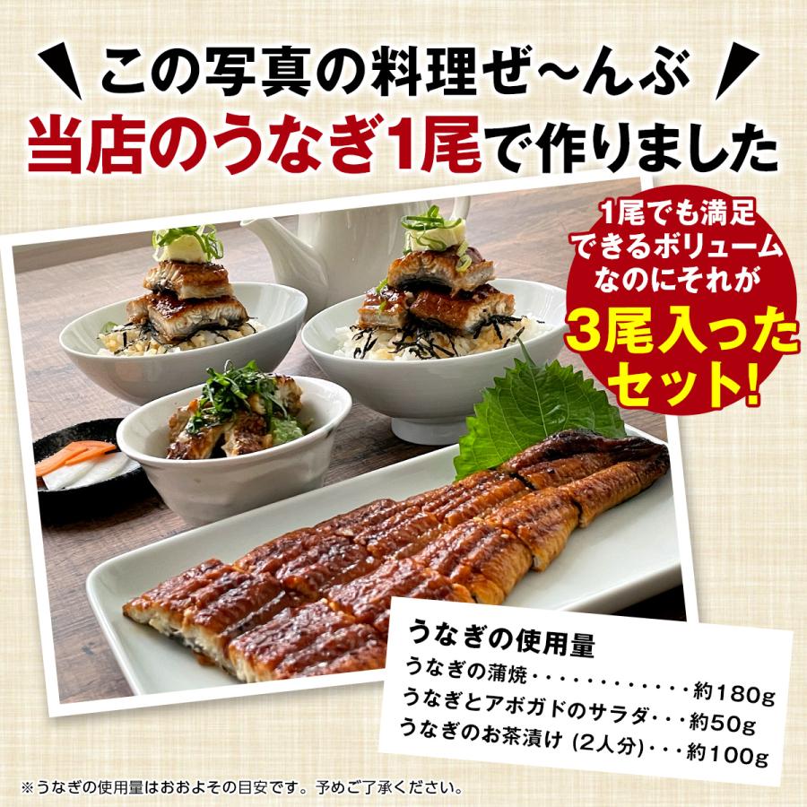 うなぎ 鰻 中国産 特大 約330g × 1尾 ひつまぶし 鰻重 うな丼 蒲焼 蒲焼き 真空パック ギフト お取り寄せ 冷凍 内祝い プレゼント :unagi:中央市場OSAKA - 通販 - Yahoo!ショッピング うなぎ 鰻 中国産 特大 約330g × 1尾 ひつまぶし 鰻重 うな丼 蒲焼 蒲焼き 真空パック ギフト お取り寄せ 冷凍 内祝い プレゼント :unagi:中央市場OSAKA - 通販 - Yahoo!ショッピング
