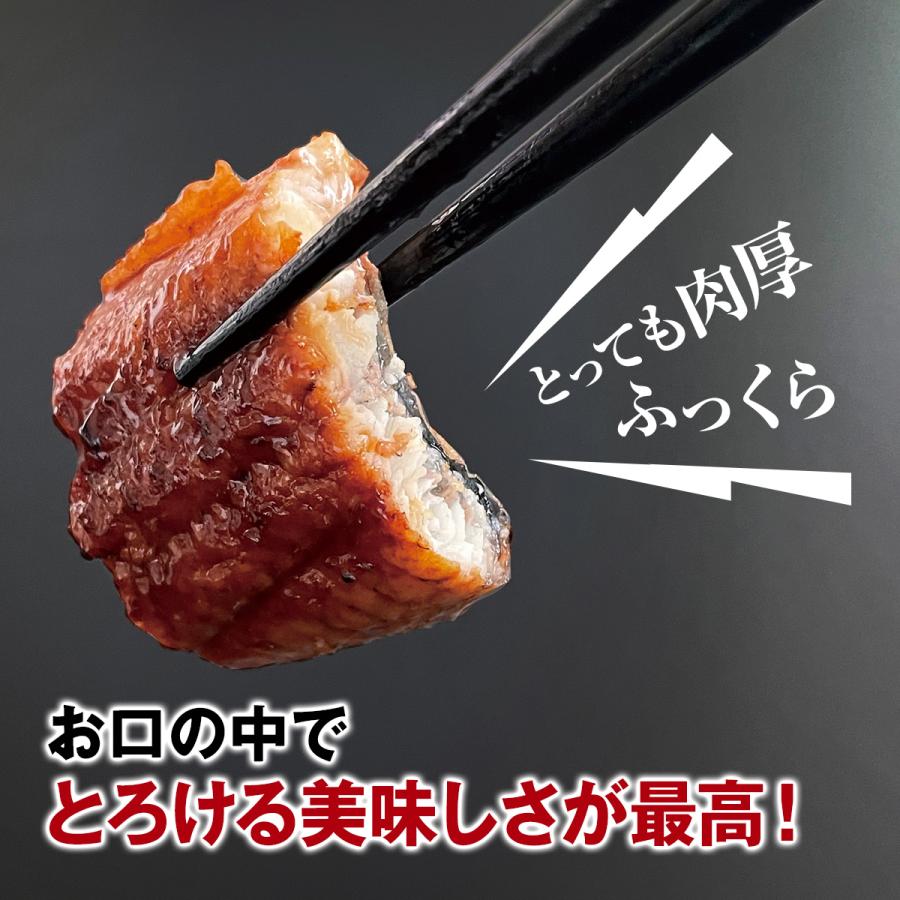 うなぎ 鰻 中国産 特大 約350g × 1尾 ひつまぶし 鰻重 うな丼 うなぎ 鰻 中国産 特大 約350g × 1尾 ひつまぶし 鰻重 うな丼