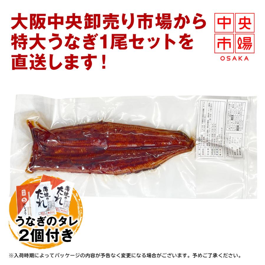 うなぎ 鰻 中国産 特大 約330g × 1尾 ひつまぶし 鰻重 うな丼 蒲焼 蒲焼き 真空パック ギフト お取り寄せ 冷凍 内祝い プレゼント :unagi:中央市場OSAKA - 通販 - Yahoo!ショッピング うなぎ 鰻 中国産 特大 約330g × 1尾 ひつまぶし 鰻重 うな丼 蒲焼 蒲焼き 真空パック ギフト お取り寄せ 冷凍 内祝い プレゼント :unagi:中央市場OSAKA - 通販 - Yahoo!ショッピング