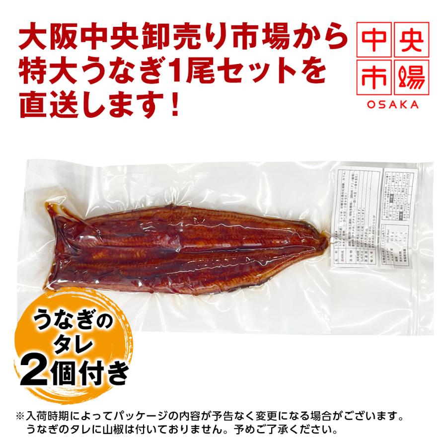 うなぎ 鰻 中国産 特大 約350g × 1尾 ひつまぶし 鰻重 うな丼 うなぎ 鰻 中国産 特大 約350g × 1尾 ひつまぶし 鰻重 うな丼
