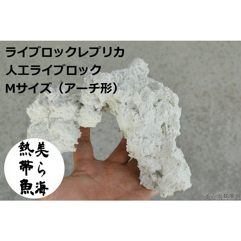 ライブロック 3個 【公式通販】