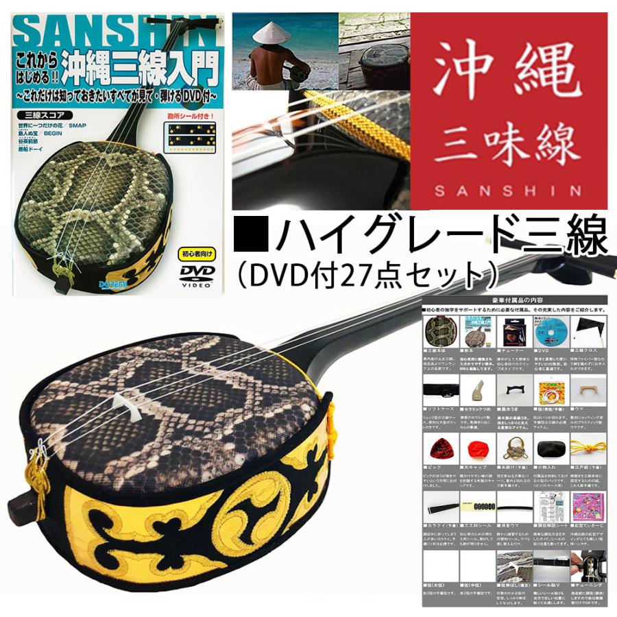 三線　ハードケース付　教本　チューナー他 41C+E9+O29L._UY200_.jpg