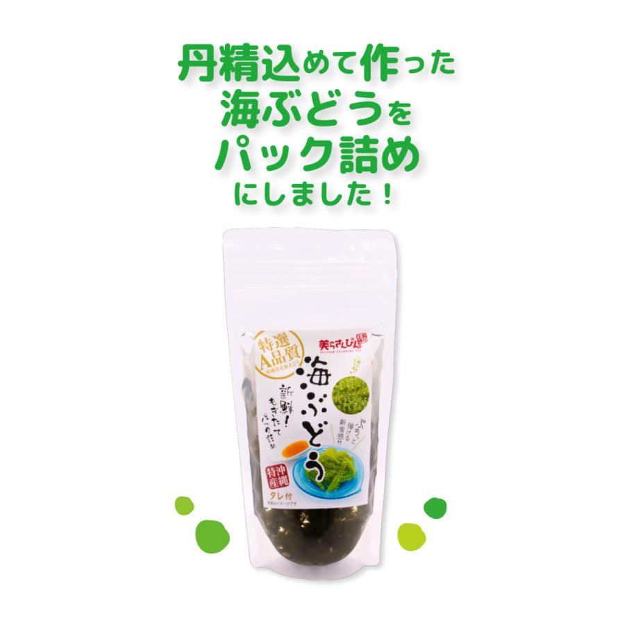 ※りんね　海ぶどう　3キロ 楽天市場】茎付き海ぶどう3kg（タレ無し）送料無料 | 業務用 | 飲食店