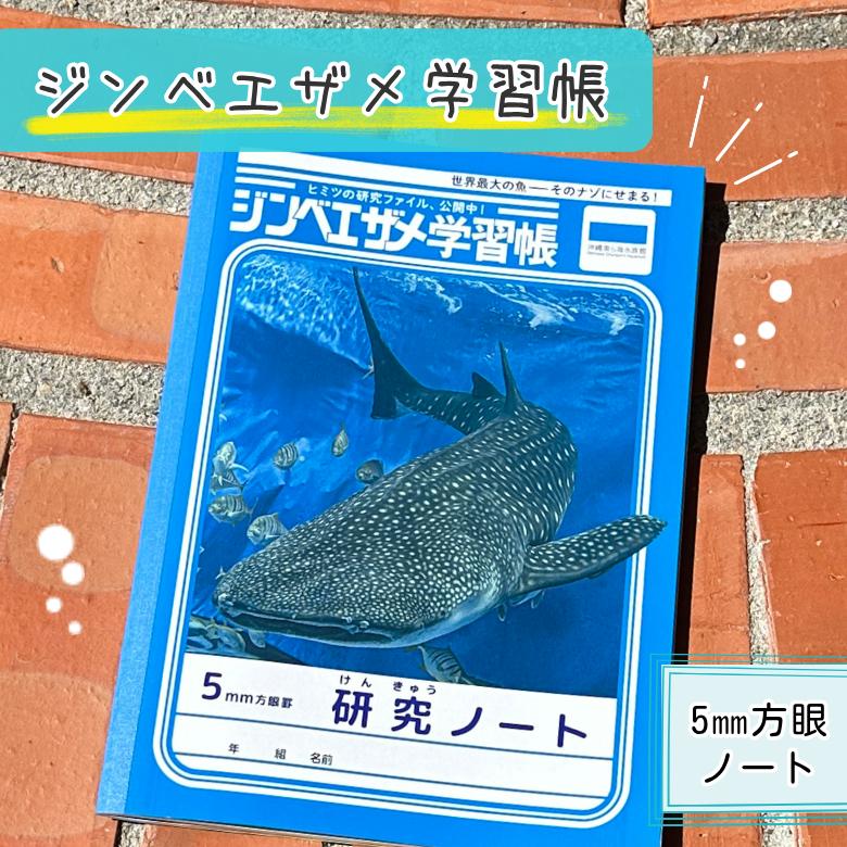 文房具 ノート ジンベエザメ 学習帳 B5 3冊セット 沖縄 美ら海 水族館