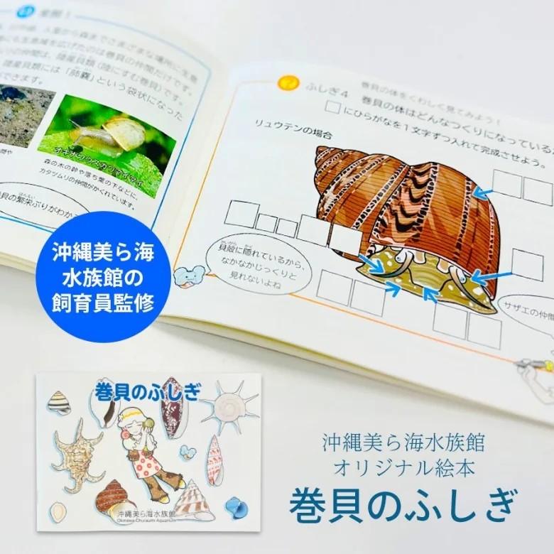 巻貝のふしぎ : 沖縄美ら海水族館 公式ショップ - 通販 - Yahoo