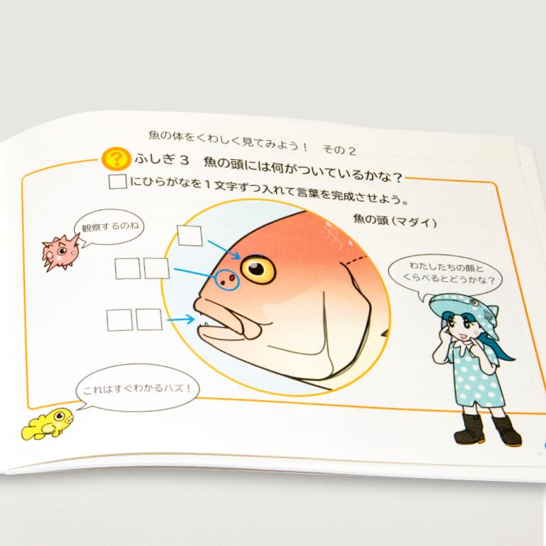 書籍 学べる 絵本 海洋生物 海 沖縄美ら海水族館 魚のふしぎ 33ページ 小学生  プレゼント 自由研究 勉強 参考  おもしろい 海の生き物 キッズ｜churaumiokinawa｜04