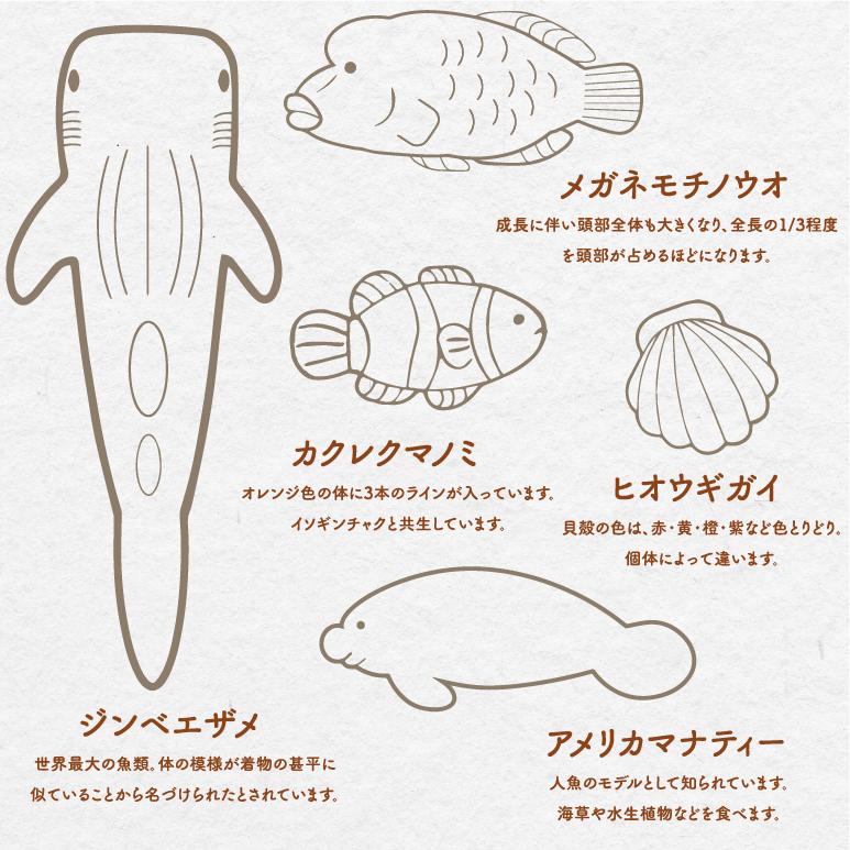 アイストレー キッチン デザート作り お菓子作り キャラクター 生き物 沖縄美ら海水族館 オリジナルアイストレー  2セット プレゼント 製氷｜churaumiokinawa｜06