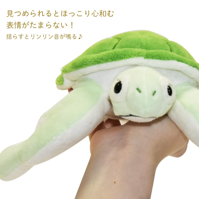 ベビーシリーズ アオウミガメぬいぐるみ : 沖縄美ら海水族館 公式
