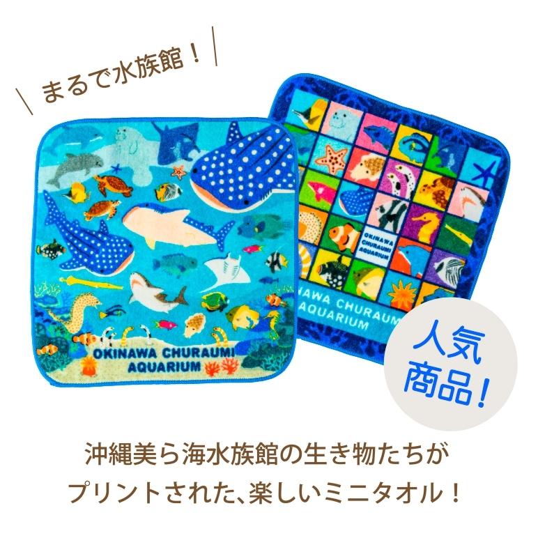 送料無料カード決済可能 ハンドタオル ハンカチ 沖縄美ら海水族館 ミニイラストタオル 2カラー 生き物 お魚 19 5cm 19 5cm