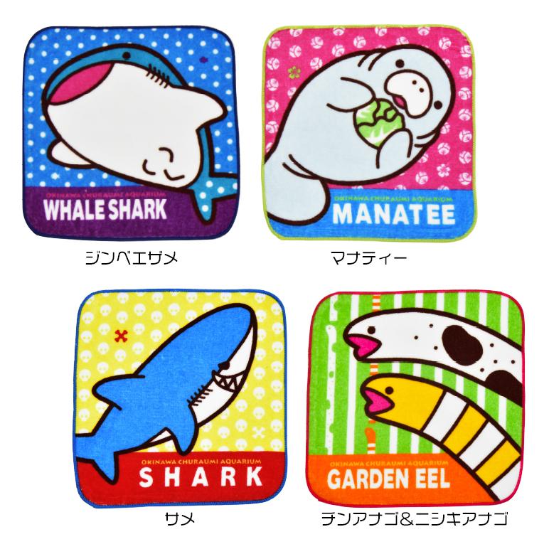 選択 オリジナル ミニタオル 沖縄美ら海水族館 タオル 4種類 生き物 ジンベエザメ サメ 縦約19cm 横約19cm チンアナゴ ニシキアナゴ