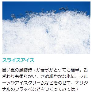 ホシザキ（HOSHIZAKI） ISL-2TD アイススライサー 業務用かき氷機
