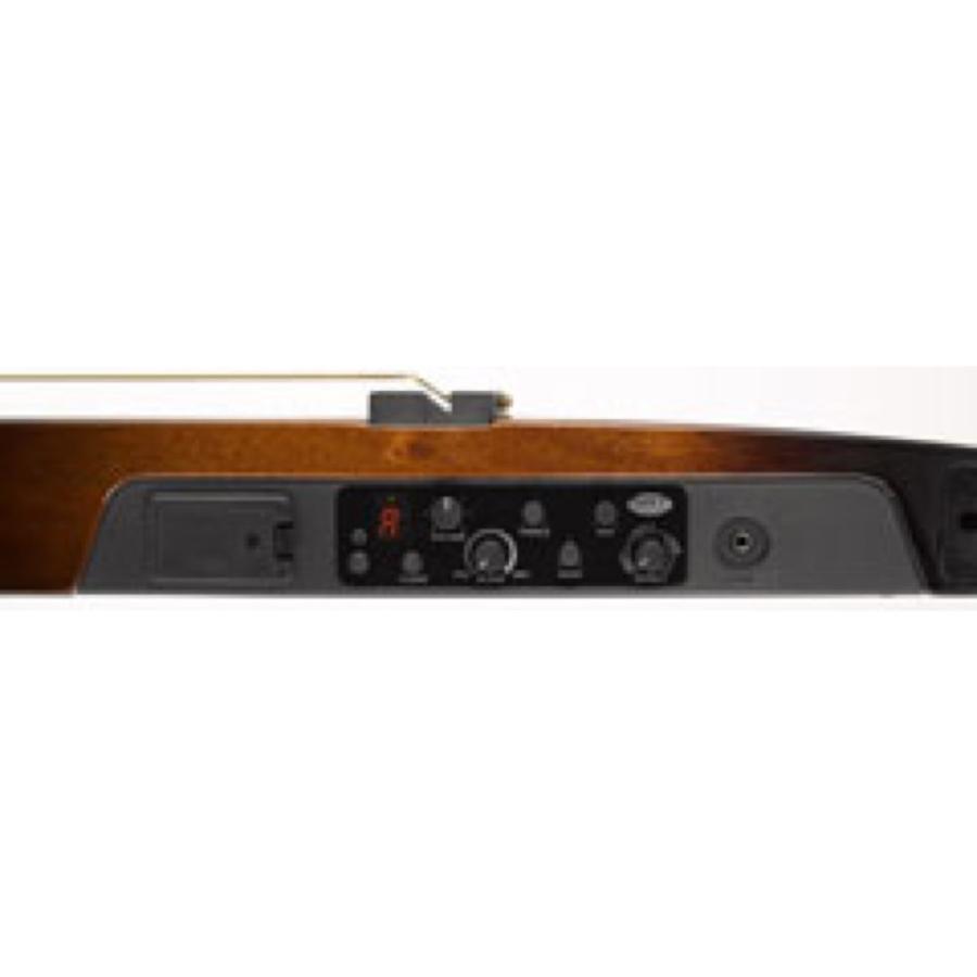 YAMAHA（ヤマハ） YAMAHA SLG200S TBS サイレントギター : chuya