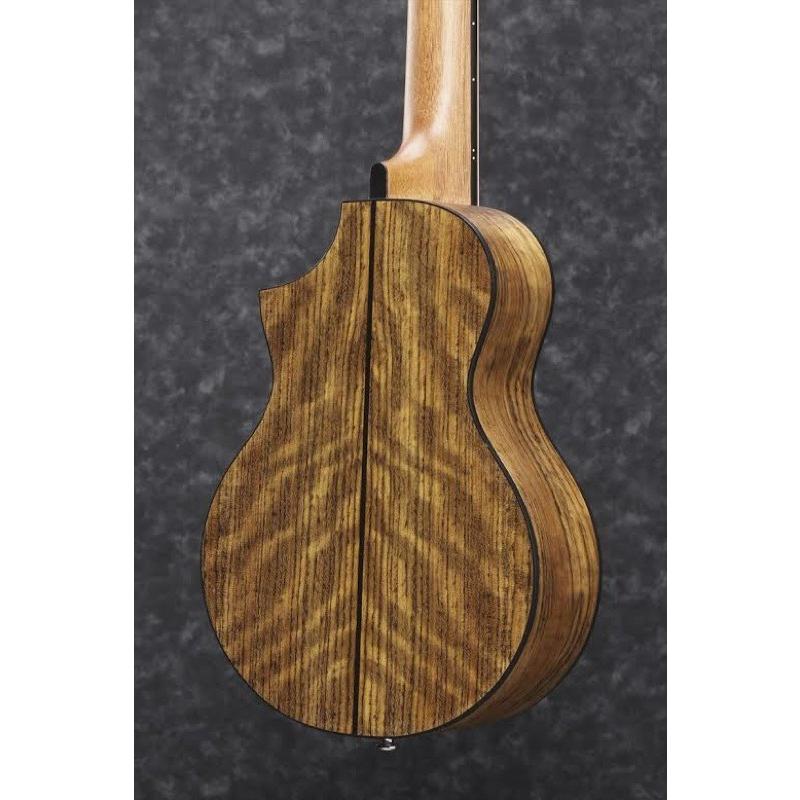 Ibanez（アイバニーズ） ギター ミニアコースティックギター EWP14WB