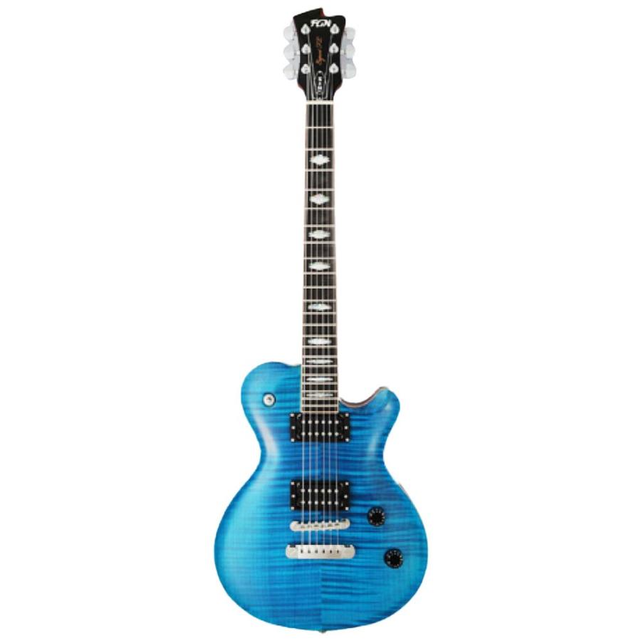 FUJIGEN Expert FL (EFL)　フジゲン オーダー フジゲン fujigen EFL オーダーギター リフィニッシュ 美品 expert