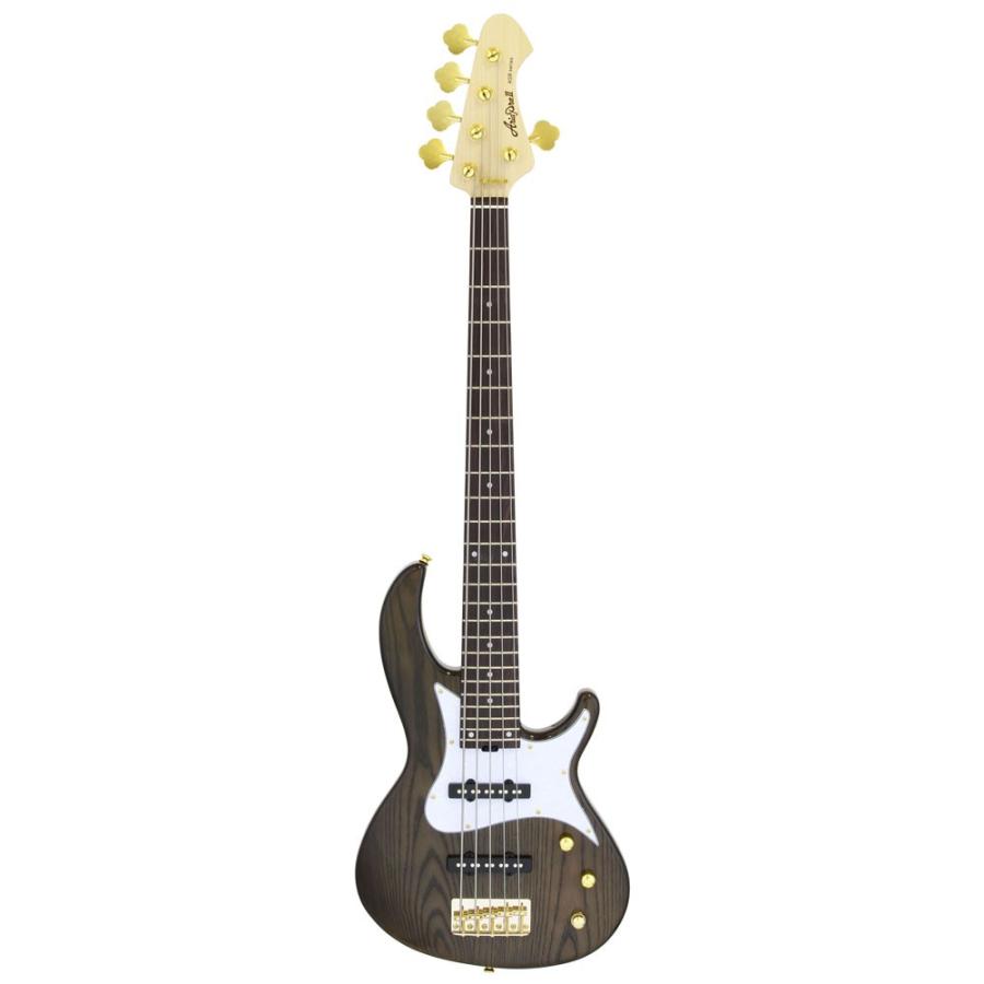 AriaProII RSB-42AR　5弦ベース　最終値下げ AriaProII RSB-42AR 5弦ベース 最終値下げ AriaProII RSB-42AR/5