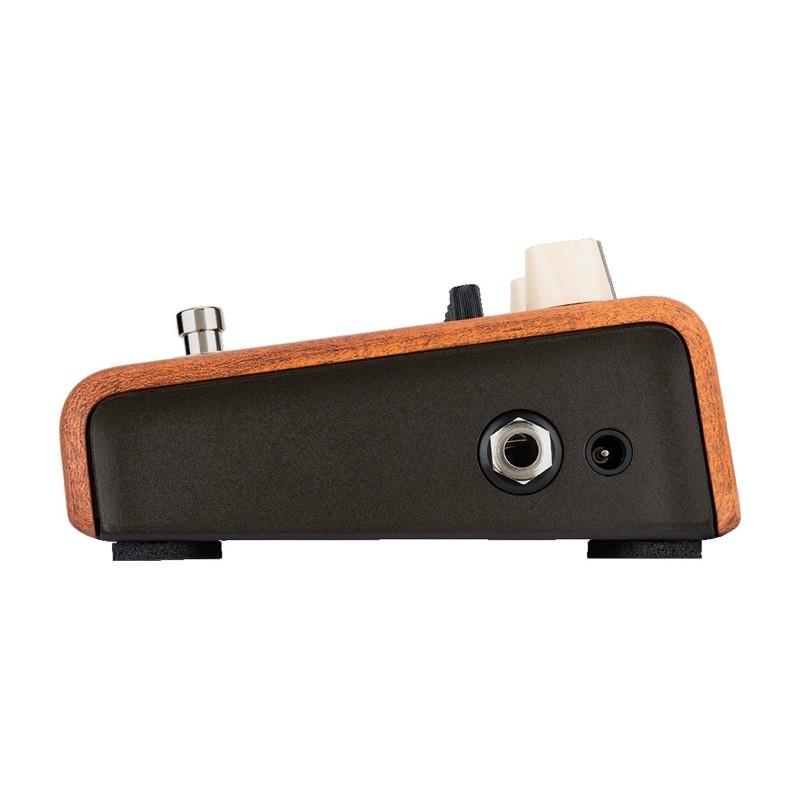 L.R.Baggs Align Series Equalizer イコライザー アコギ用ペダル