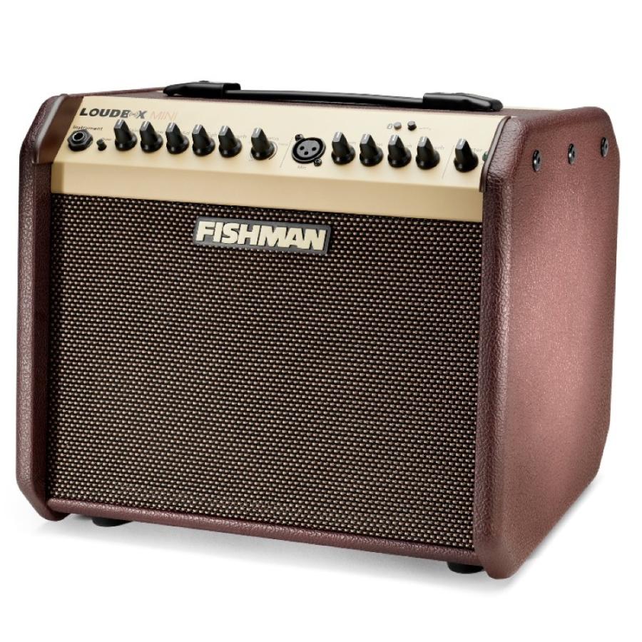 Fishman Loudbox Mini Bluetooth Amplifier アコースティックギター用アンプの画像
