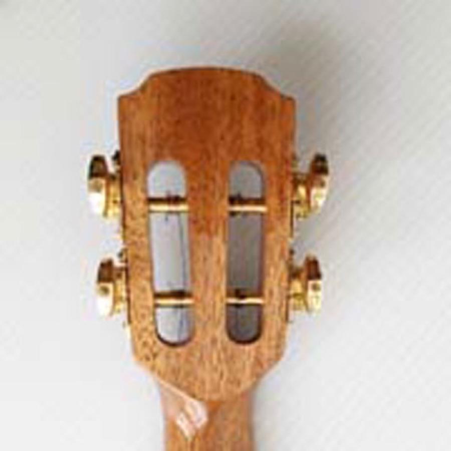 DCT DC-03 コンサートウクレレ : chuya-online チューヤオンライン