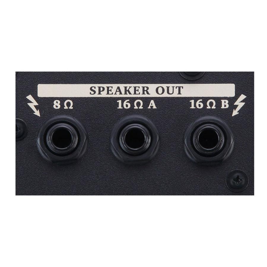NEX-ARTIST Nextone Artist 80W ギターコンボアンプ 【柄】