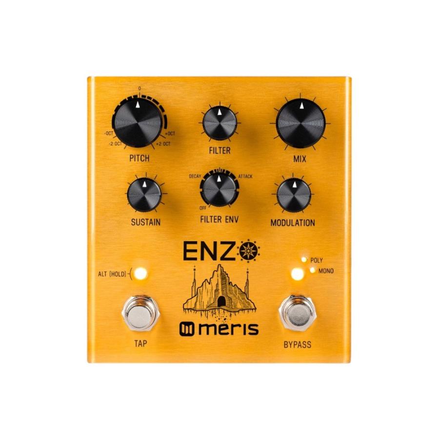 Meris EZO-DST Enzo Pedal マルチボイスシンセサイザーペダル